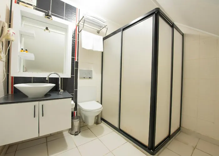 Grand Vatan Hotel 3*